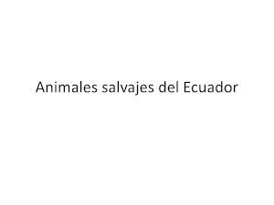 Animales Salvajes Del Ecuador