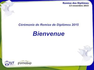 Rdd Iut 2015