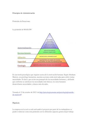 Principios De Administración