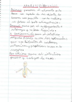 Explicación Aparato Digestivo Rubén
