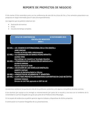 Reporte De Proyectos De Negocios