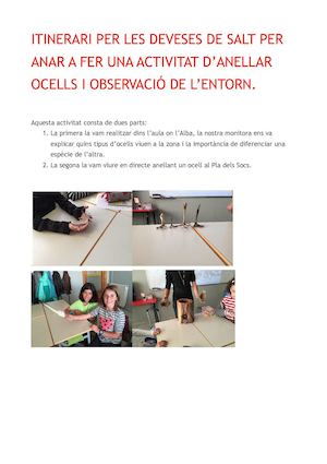 Projecte ECOSISTEMES