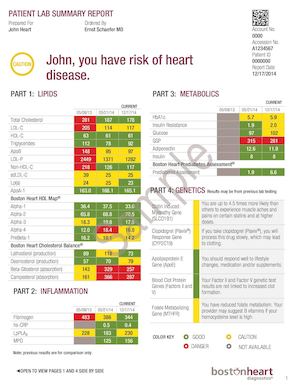 BOSTON HEART LAB SUMMARY REPORT - SUPPLEMENT FOCUSED