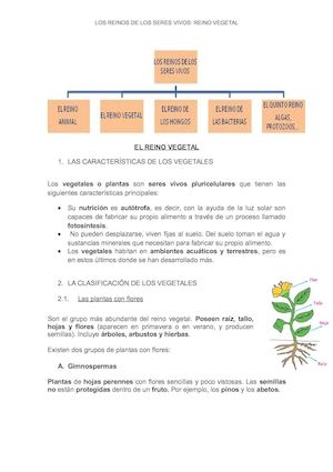 El Reino Vegetal