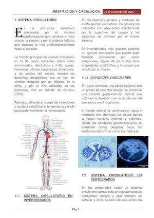 Respiracion Y Circulacion