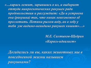 Тип Моллюски