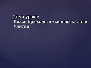 Брюхоногие моллюски