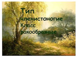 ракообразные (2)