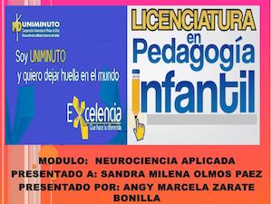 Como Aprende Y Olvida El Cerebro