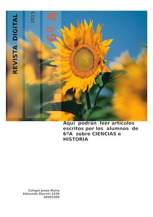 Revista Digital 6toa