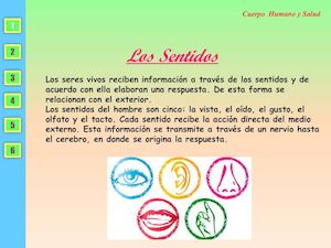 Presentacion Multimedia