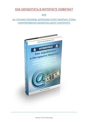 Как заработать в Интернете новичку.