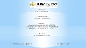 Desarrollo Cognitivo Practica Profesional Actividad 3