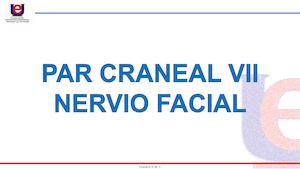 NERVIO FACIAL