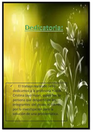 Proyecto De Investigación Río Rímac