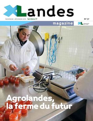 XLANDES N°37