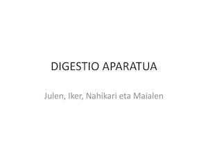 Digestio Aparatua