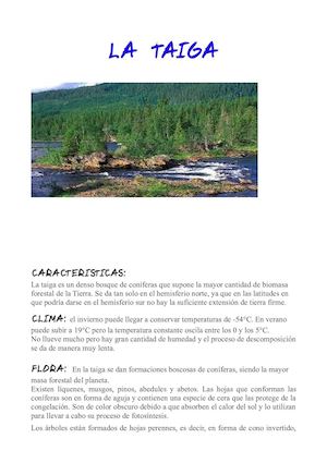 TAIGA