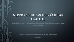 Nervio Oculomotor Ó Iii Par Craneal