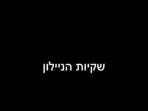 שקיות נילון באנגלית