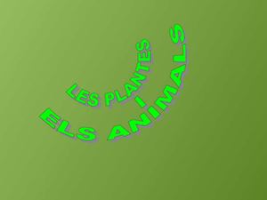 Les Plantes i Els Animals