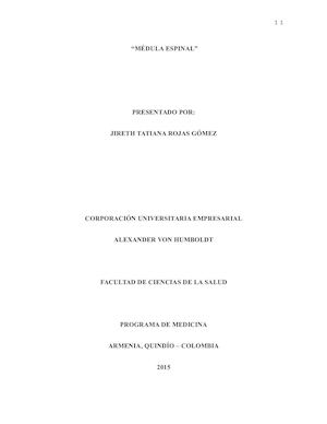 Anatomia Medula Espinal (1)