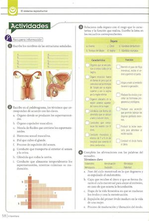 Taller Reproduccion Humana