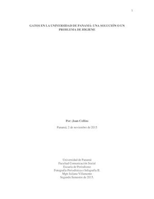 Gatos En La Universidad De Panamá