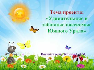 Удивительные и забавные насекомые Южного Урала