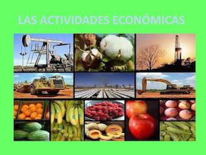 Las Actividades Económicas