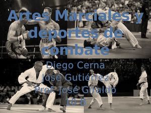 Artes Marciales Y Deportes De Combate (2)