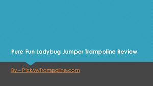 Pure Fun Ladybug Jumper Trampoline Review