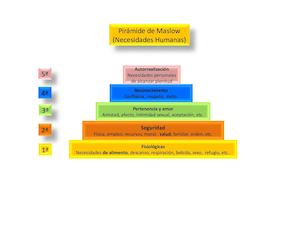 La Miel Y Sus Beneficios