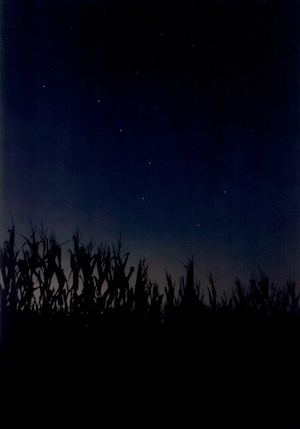 Moving Walls 23 Catalogue