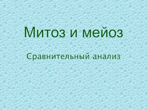 сравнение митоза и мейоза