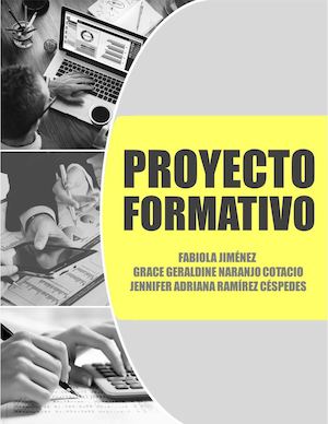 Proyecto Formativo "Pañalera Baby King Publicar"