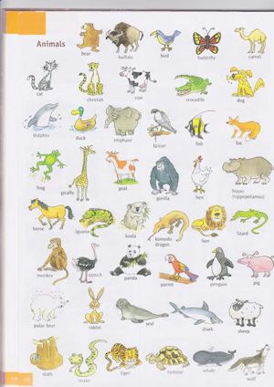 картинки тваринки 2