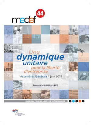 Rapport D Activités 2015