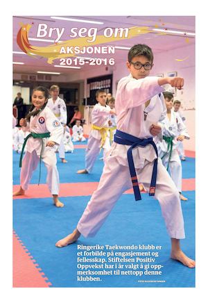 BRY SEG OM AVISA 2015