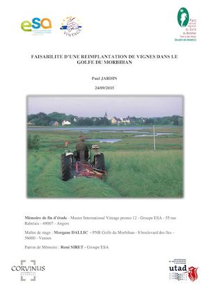 Faisabilité d'une réimplantation de vignes dans le golfe du Morbihan