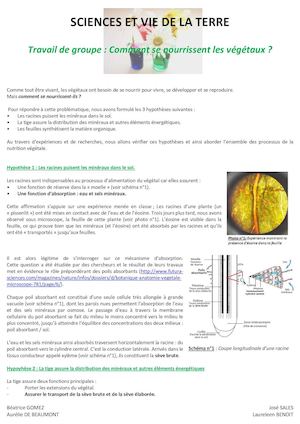 Comment Se Nourrissent Les Vegetaux