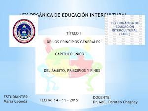 Organizador Gráfico Loei M