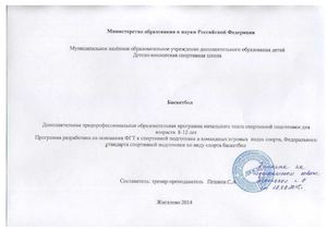 Рабочая программа по баскетболу(ГНП 1,2,3)