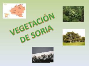 Vegetación De Soria