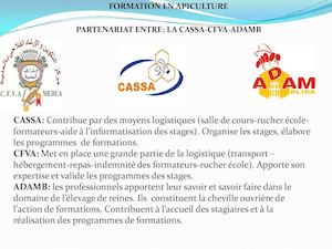 L'élevage De Reines