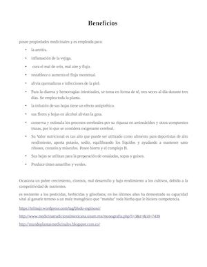 Beneficios De Bledo Espinoso Calameo