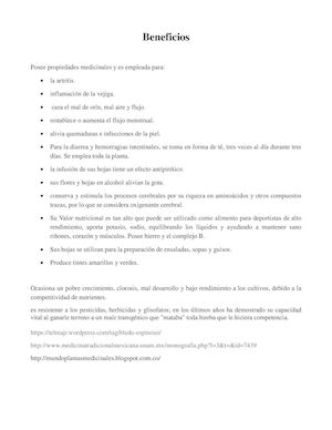 Beneficios Y Estudios Del Bledo Espinoso