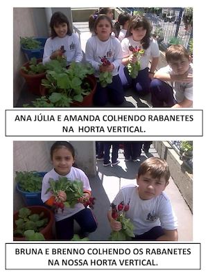 Trabalho com Legendas - 1º ano A