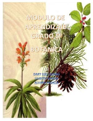 Modulo De Aprendizaje