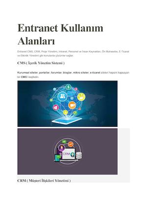 Entranet Kullanim Alanlari